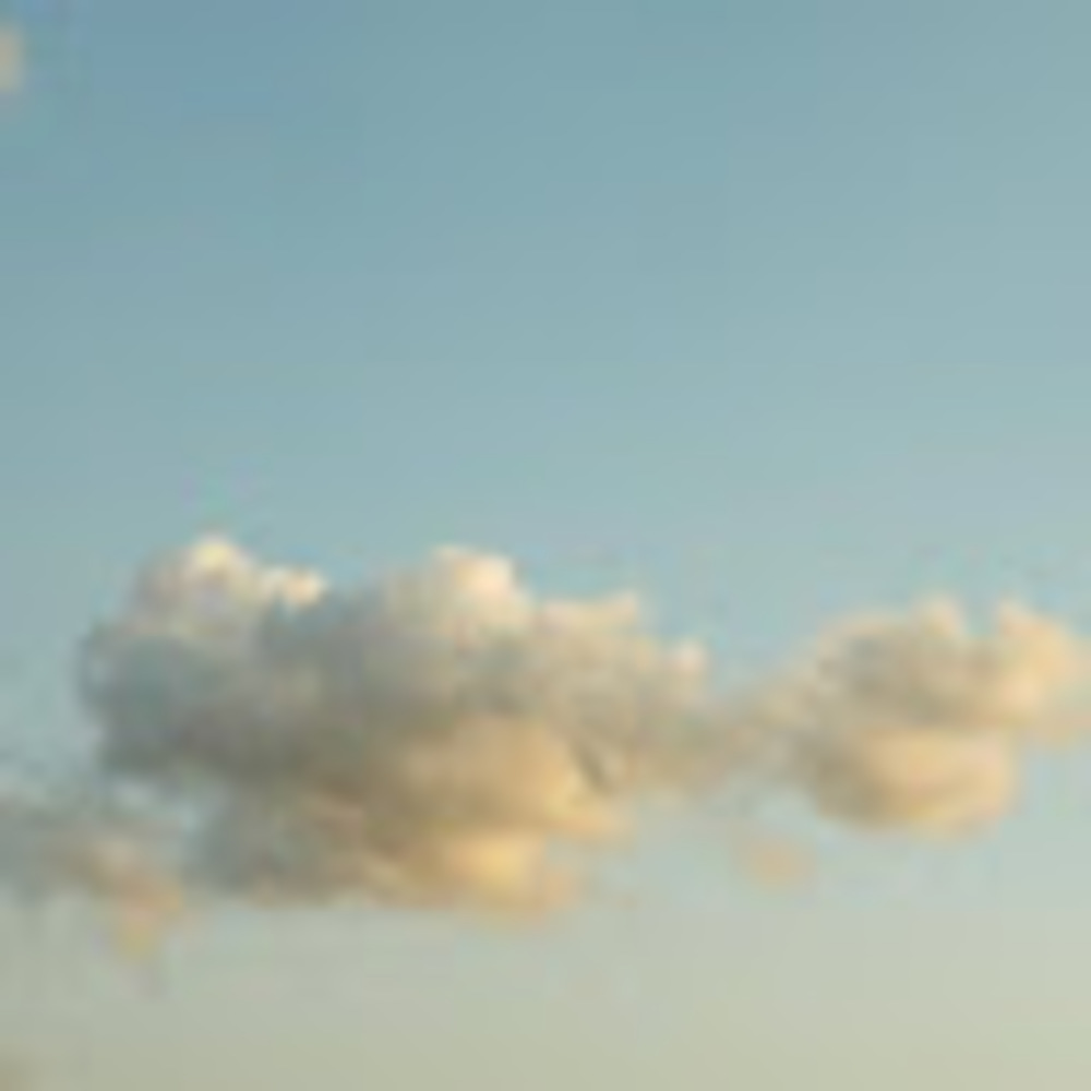 Meet your Posher, Leah